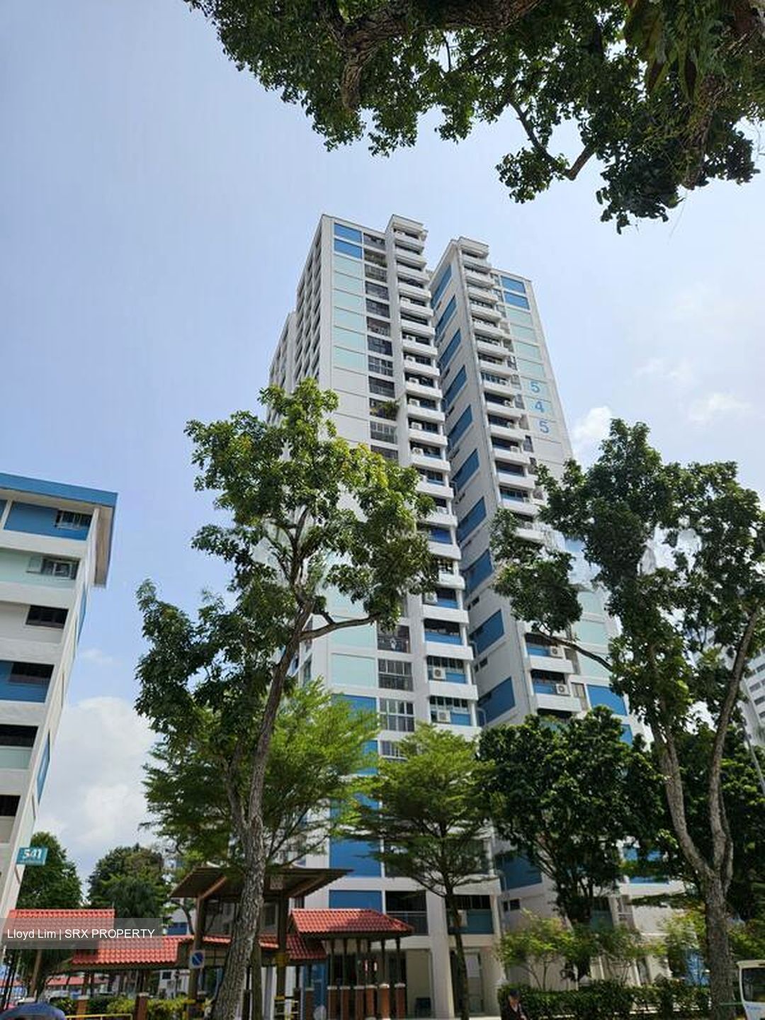 Blk 545 Cheng San Green (Ang Mo Kio), HDB 5 Rooms #521356631